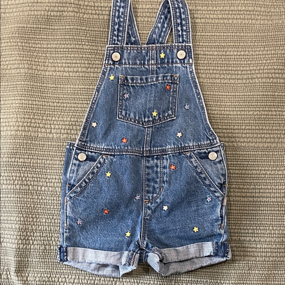 Baby Gap overalls with embroidered flowers